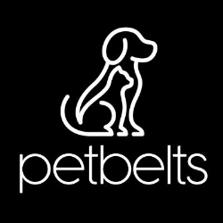 Petbelts Dog Seat Belts