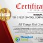 All Things Pest Control - Three Best Rated Business 2021