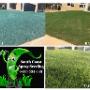 21 days to a new lawn
