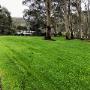 Acreage lawn