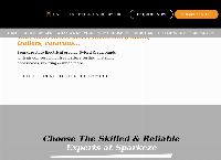 Sparkeze Auto Electrical's website