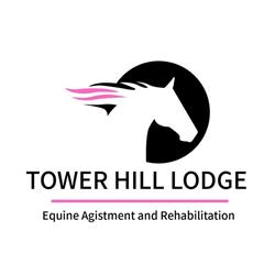 Tower Hill Lodge Equine Agistment