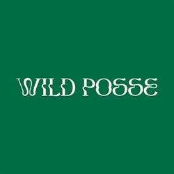Wild Posse