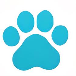 Pawesome Academy Doggy Day Care and Training
