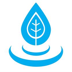 Ripple Chiropractic