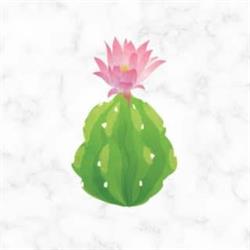 Cactus hair