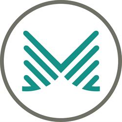 Master Capital Group