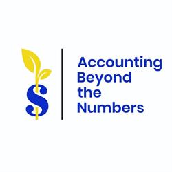 Accounting Beyond the Numbers