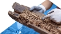 Timber Pest Inspection Report