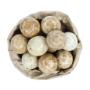 Moon Macadamias