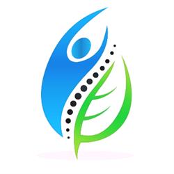 The Melbourne Chiropractor