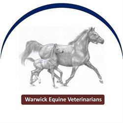 Warwick Equine Vets