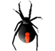 Redback Web Design