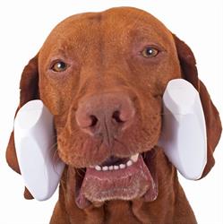 Craigieburn Dog Obedience Group