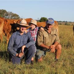 Talana Limousins