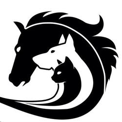 Sundance Veterinary Services