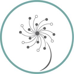 noosa body mechanics