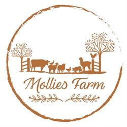 Mollies Farm