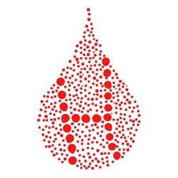 Central Coast Haematology