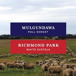 RICHMOND PARK