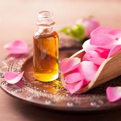 Beauty Garden Spa Salon
