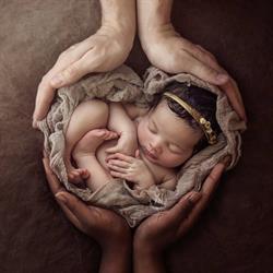 Natalie Houlding Photography