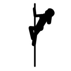 The Pole Space
