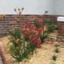 Garden Bed Makeover Pascoe Vale South
