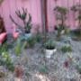 Garden Makeover Coburg