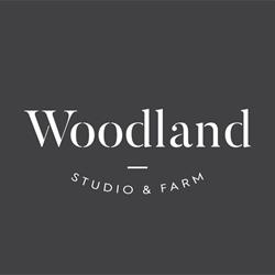 Woodland Studio Exeter