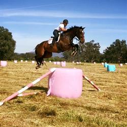 Wadari Stables - Jess Grosmann Eventing