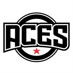ACES - Air Combat Experience Sydney