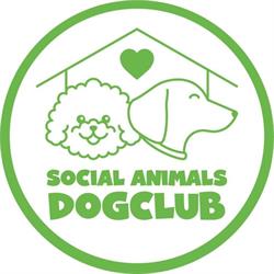 Social Animals Dog Club Daycare