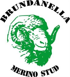 Brundanella Merino Stud