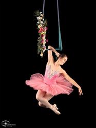 Kaitlin's Aerial & Dance Academy