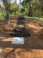 Septic-Effluent-Disposal-Area