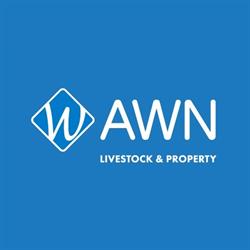 AWN (Australian Wool Network)