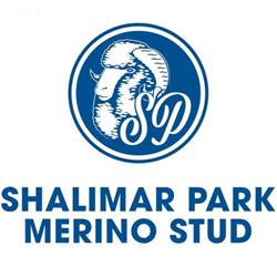 Shalimar Park Merino Stud