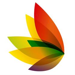 Complex Minds Psychology - Anica Spatz - Psychologist