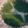 MorningtonGreen Cover Image