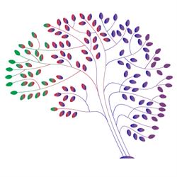 Mini Minds Child & Adolescent Health