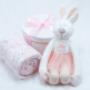 Baby Girl Easter Bunny Theme Giftbox