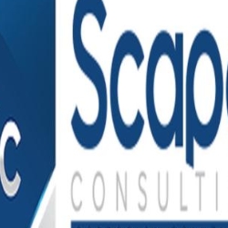 Scape Consulting