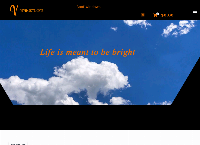 Vivid Skylights's website