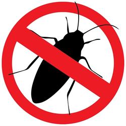 Control Pest Management