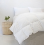 Guest Comfort Quilt