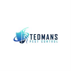 Tedmans Kingscliff pest control and termite manage