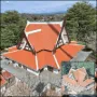 Roof Painting