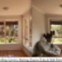 Interior House Painter