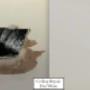 Plaster Repair